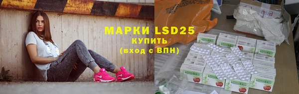индика Покачи