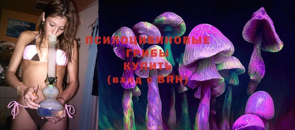 молекула духа Алзамай