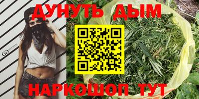 индика Балашиха
