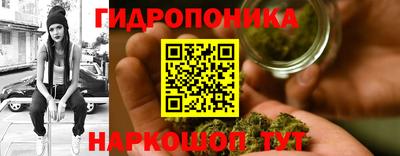 spice Балахна