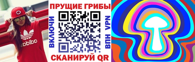 Галлюциногенные грибы Psilocybe  Апрелевка 