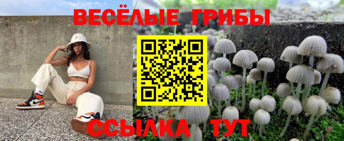 Псилоцибиновые грибы Psilocybine cubensis Апрелевка