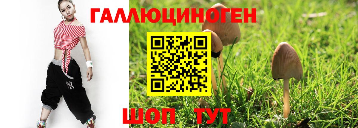 где можно купить   Вход с VPN  Апрелевка  Галлюциногенные грибы Magic Shrooms 
